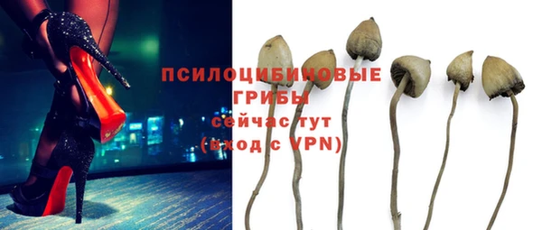 героин Алзамай