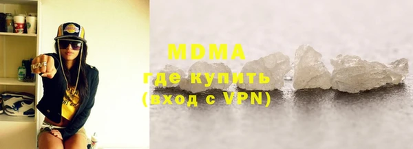 гашик Алексин