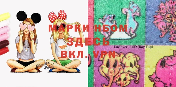 гашик Алексин
