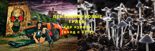 гашик Алексин