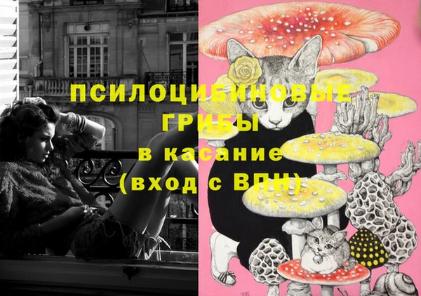 героин Алзамай