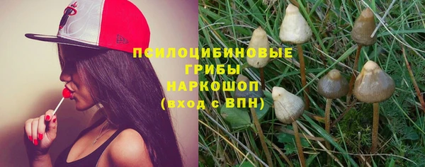ECSTASY Алексеевка